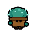 Succu