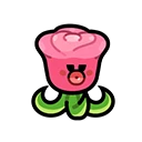 Rosevine